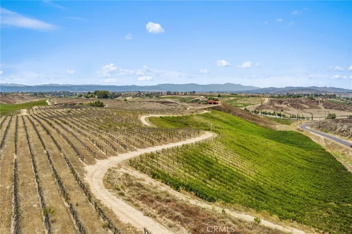 Vineyards