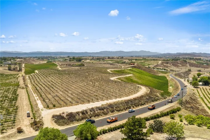 Vineyards - Facing West