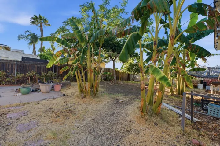 7620 Saranac Avenue, La Mesa, California 91942