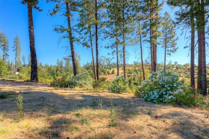1831 Clear Brook, Paradise, California 95969