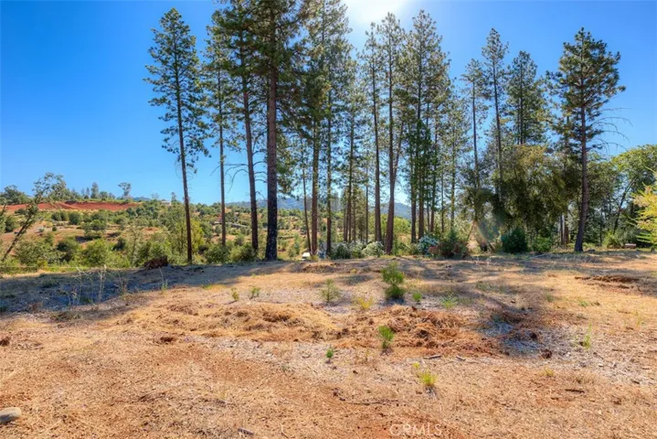 1831 Clear Brook, Paradise, California 95969