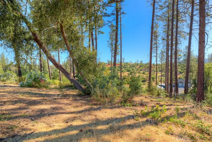 1831 Clear Brook, Paradise, California 95969