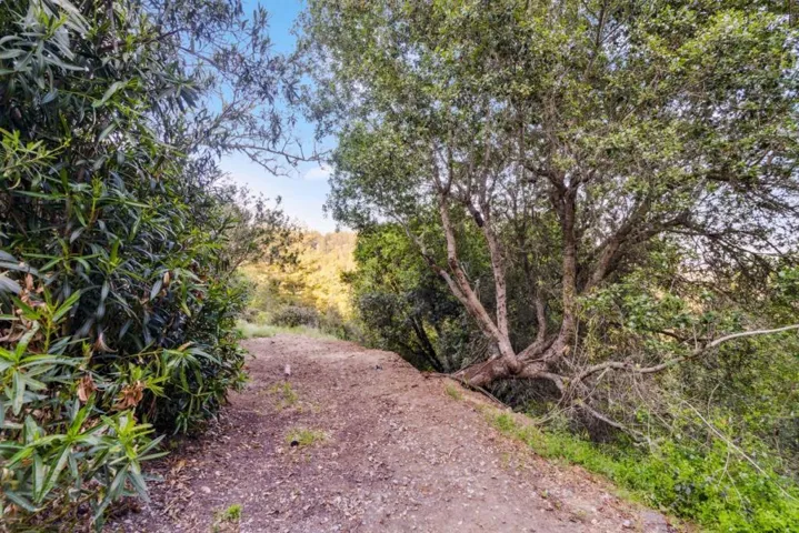 251 Starlight Terrace, Santa Cruz, California 95065