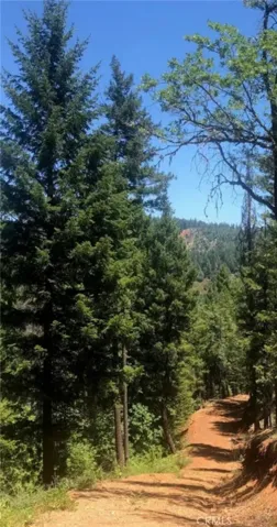 38041 State Highway 3, Weaverville, California 96052