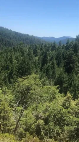 38041 State Highway 3, Weaverville, California 96052