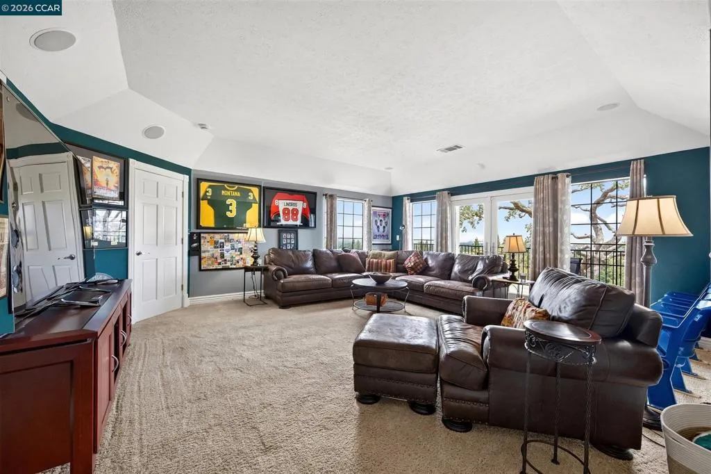 Downstairs TV Room