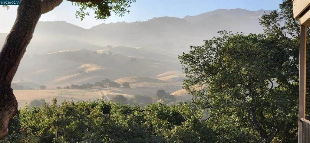 Sunrise Hills