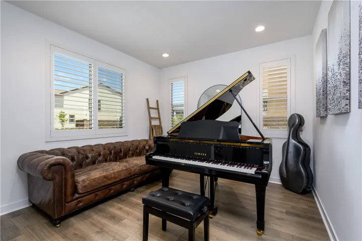 Music/entertainment/office room