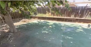 back yard
