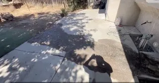 back yard