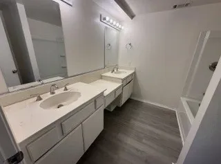 Master bathroom
