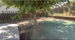 back yard