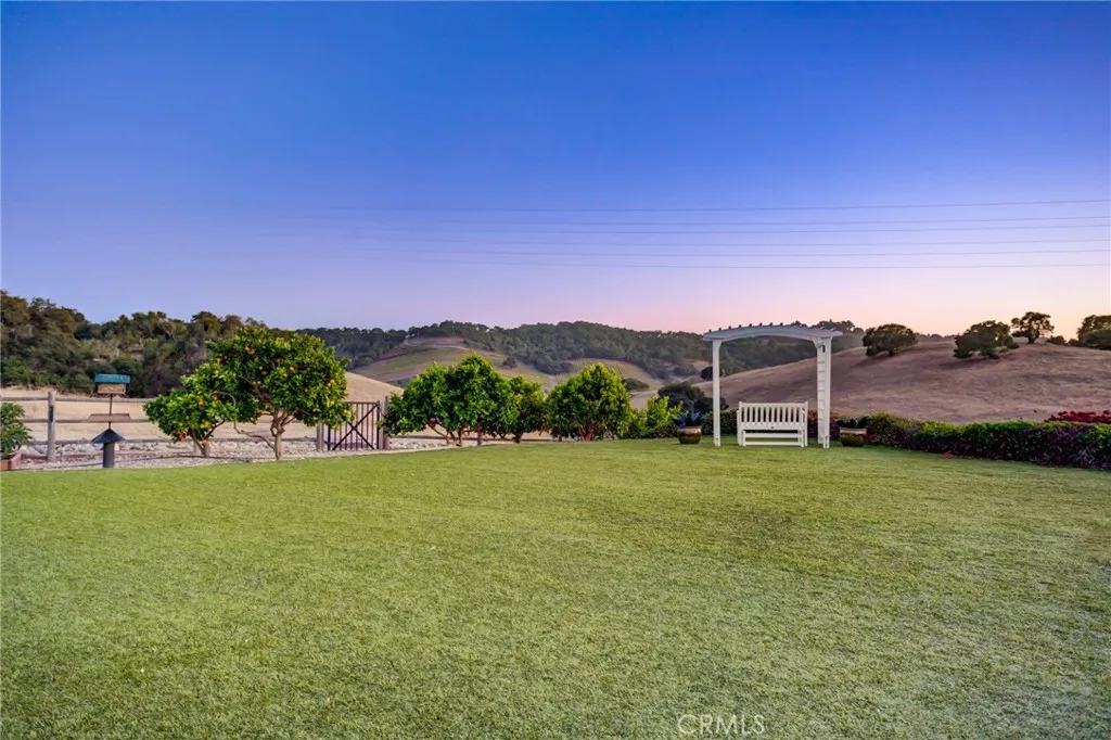 backyard lawn space