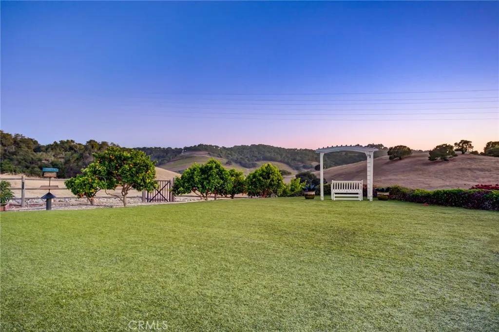 backyard lawn space