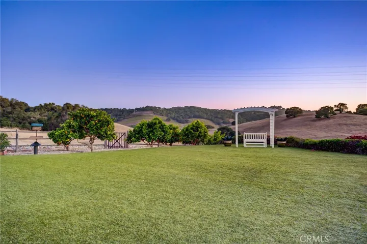 backyard lawn space