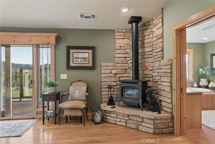 primary bedroom fireplace