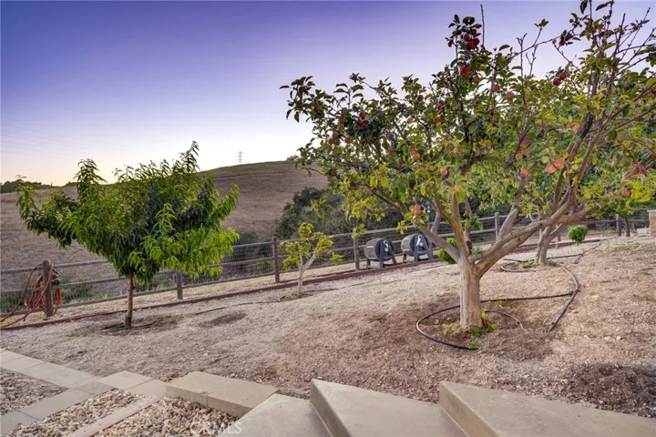 Fruit orchard