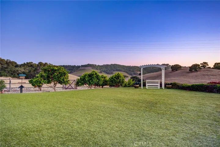 backyard lawn space