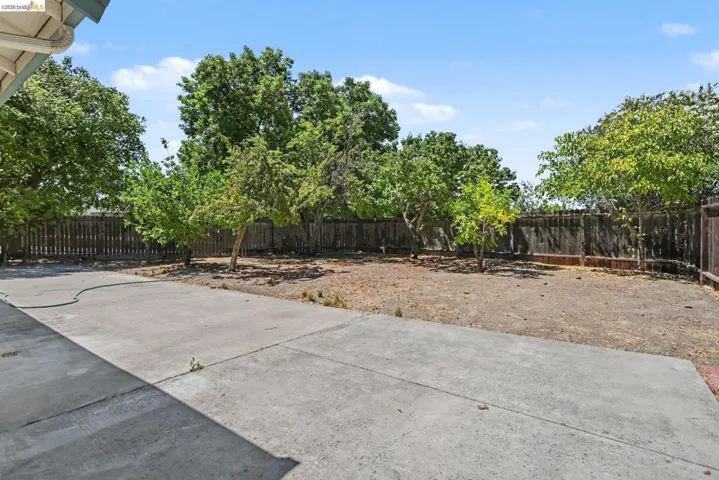 Expansive backyard featuring a concrete patio, a wooden fence, and mature trees providing natural shade