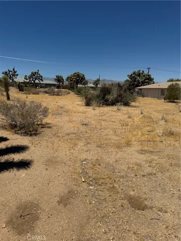 View from the Back