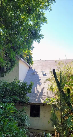 Back Roof