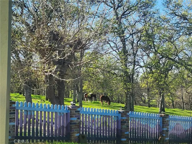 19989 State Highway 36 W, Red Bluff, California 96080