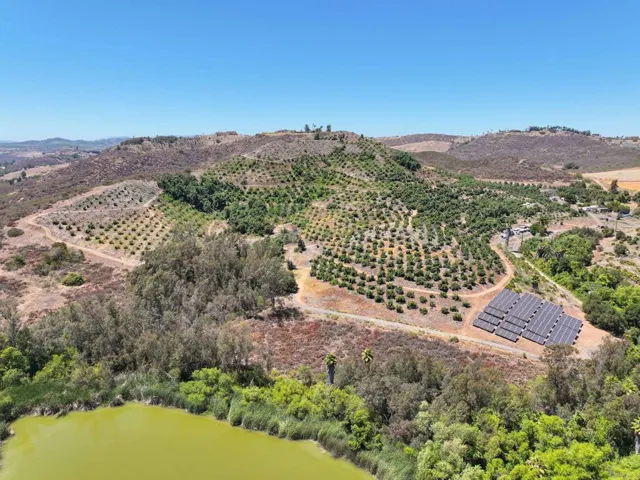 2918 Place De Mouton, Bonsall, California 92003