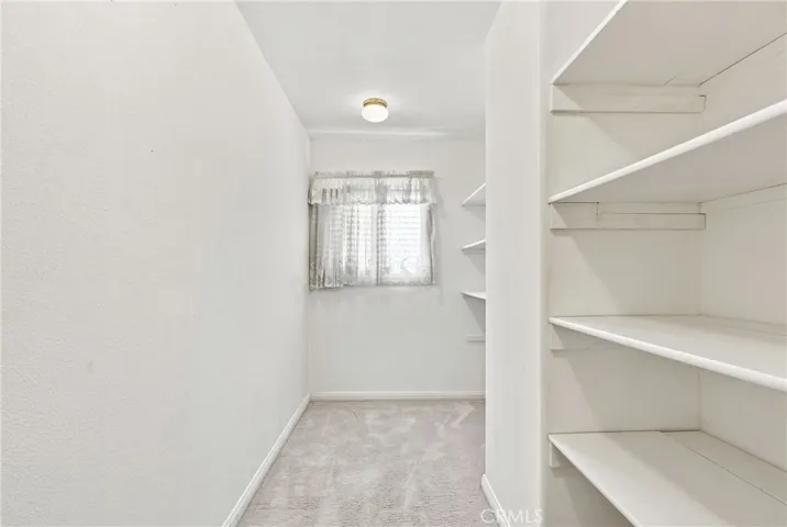 Massive hall closet.