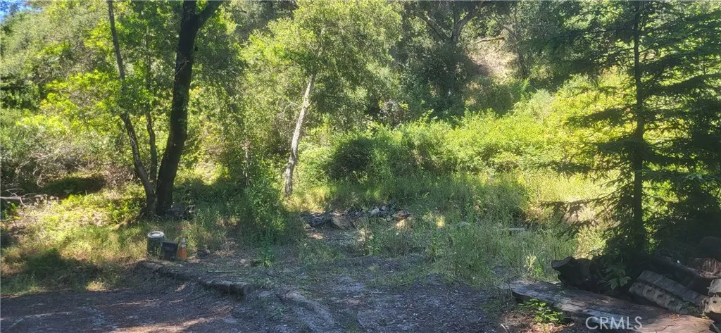 0 Palm Cutof, Boulder Creek, California 95006