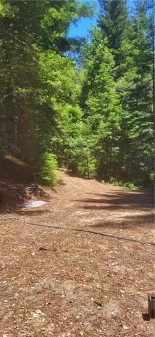 0 Palm Cutof, Boulder Creek, California 95006