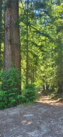 0 Palm Cutof, Boulder Creek, California 95006