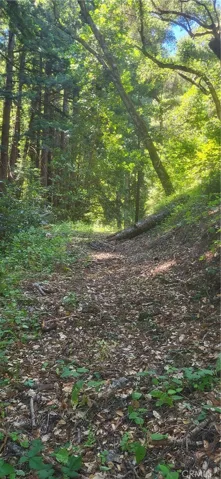 0 Palm Cutof, Boulder Creek, California 95006
