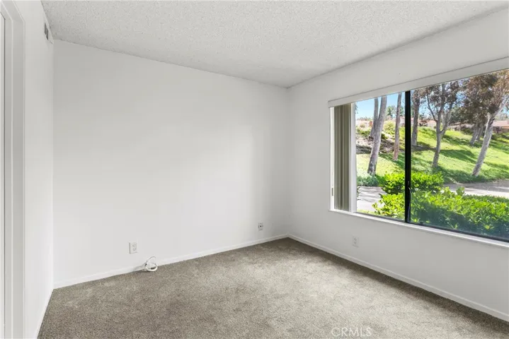 Bedroom 3 - Downstairs (or office/den).