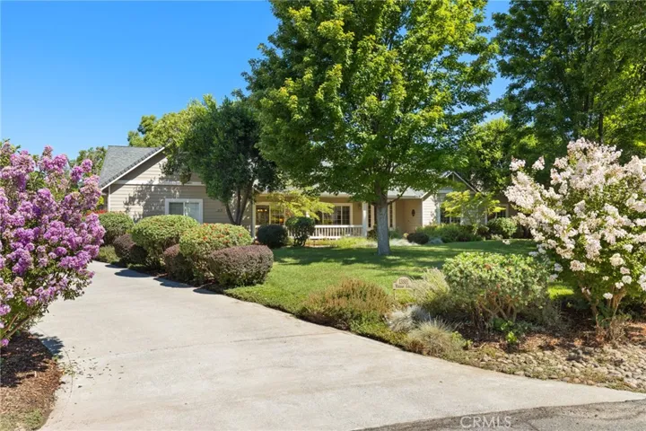 Driveway _13861 Winesap Ct.