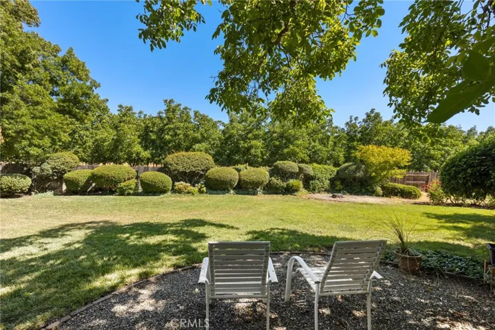 Backyard Lawn _13861 Winesap Ct.