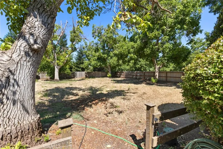Backyard _13861 Winesap Ct.