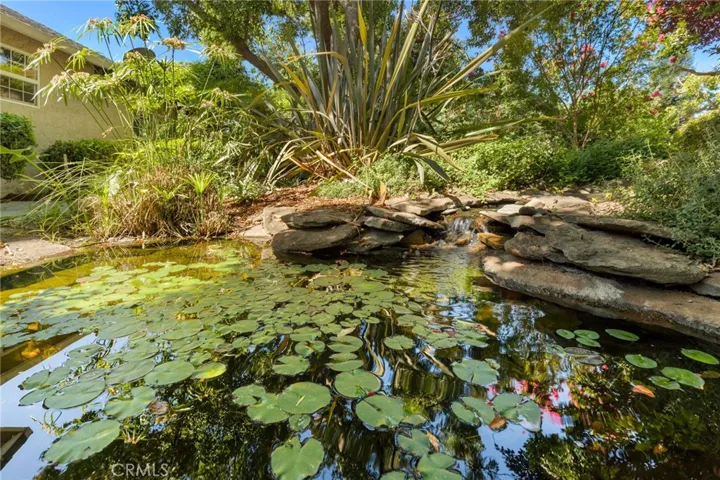 Pond 3 _13861 Winesap Ct.