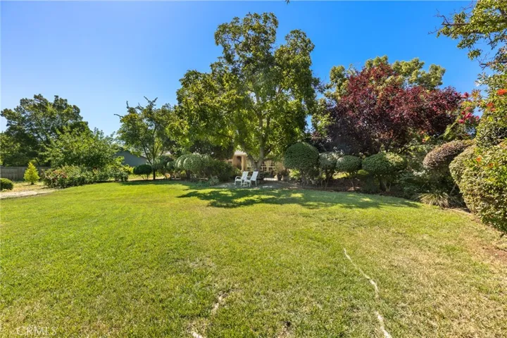 Backyard Lawn 2 _13861 Winesap Ct.