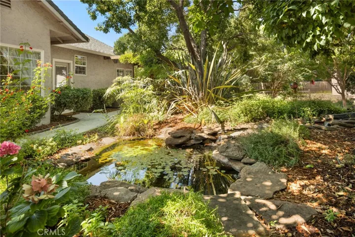 Pond 2 _13861 Winesap Ct.