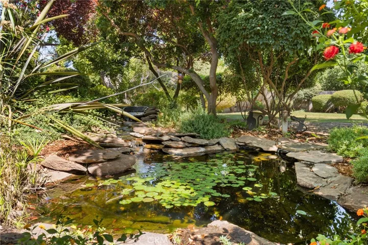 Pond _13861 Winesap Ct.