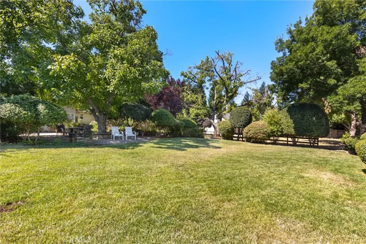 Backyard Lawn 3 _13861 Winesap Ct.
