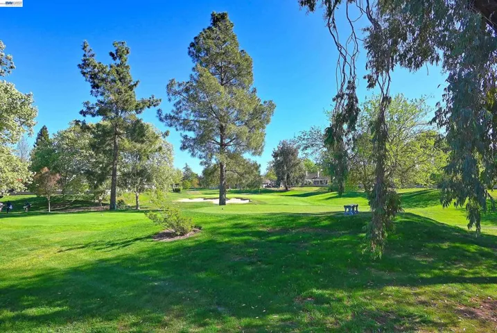 597 Saint George Rd, Danville, California 94526