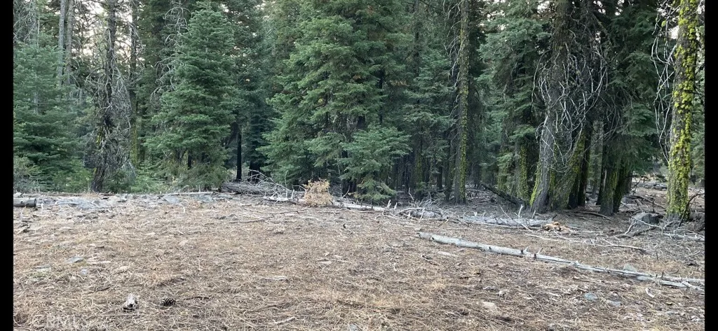 0 Bobcat Drive, Alturas, California 96101
