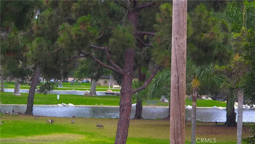 2 of the beautiful ponds at mile Square Park