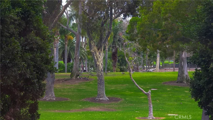 Such a tranquil & well kept park