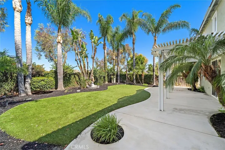 Entertainers backyard