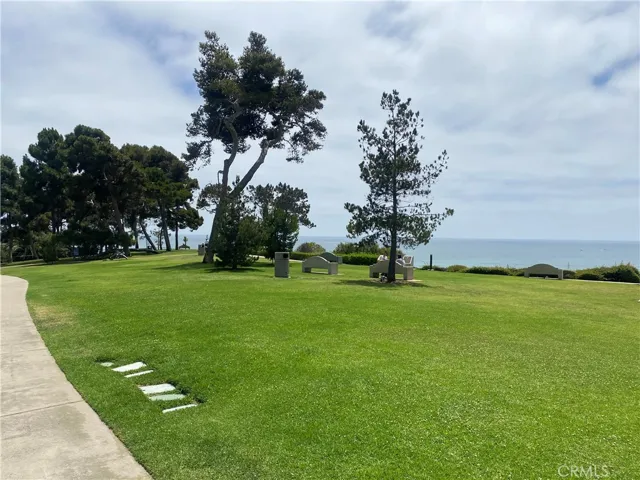 Pines Park