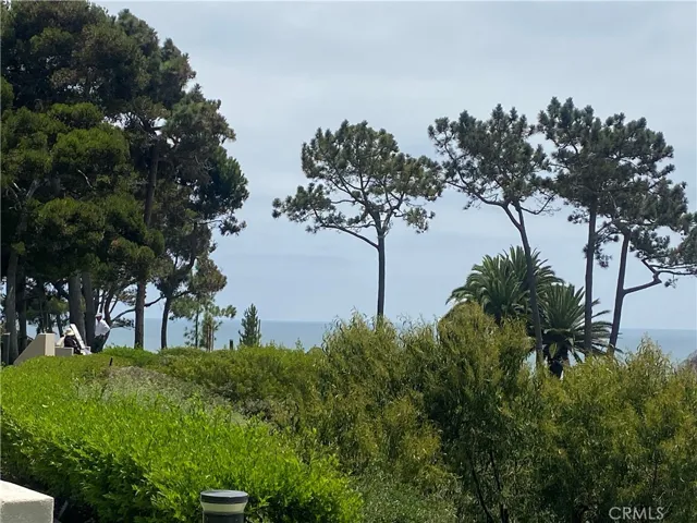 Pines Park