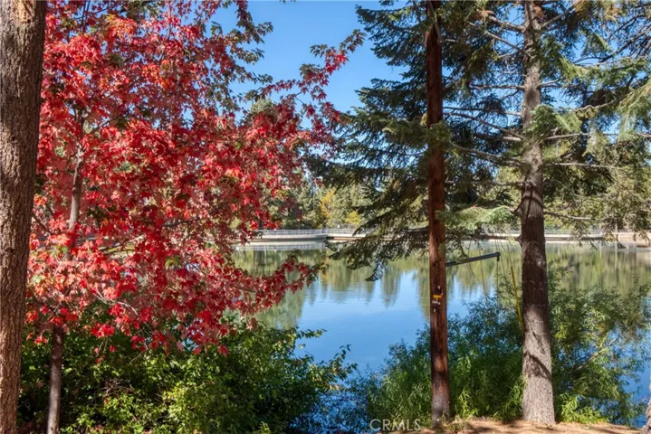 771 Tulip Drive, Green Valley Lake, California 92341