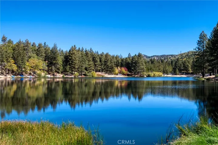 771 Tulip Drive, Green Valley Lake, California 92341